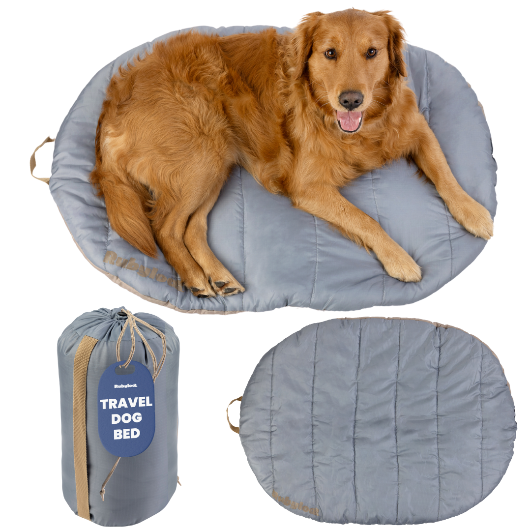 Travel/Camping Dog Bed
