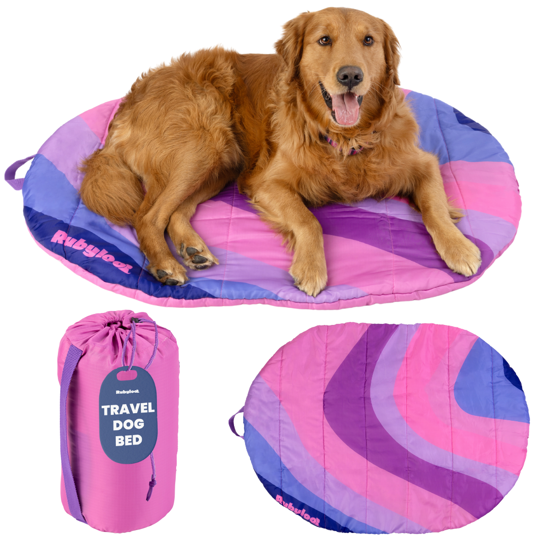 Travel/Camping Dog Bed