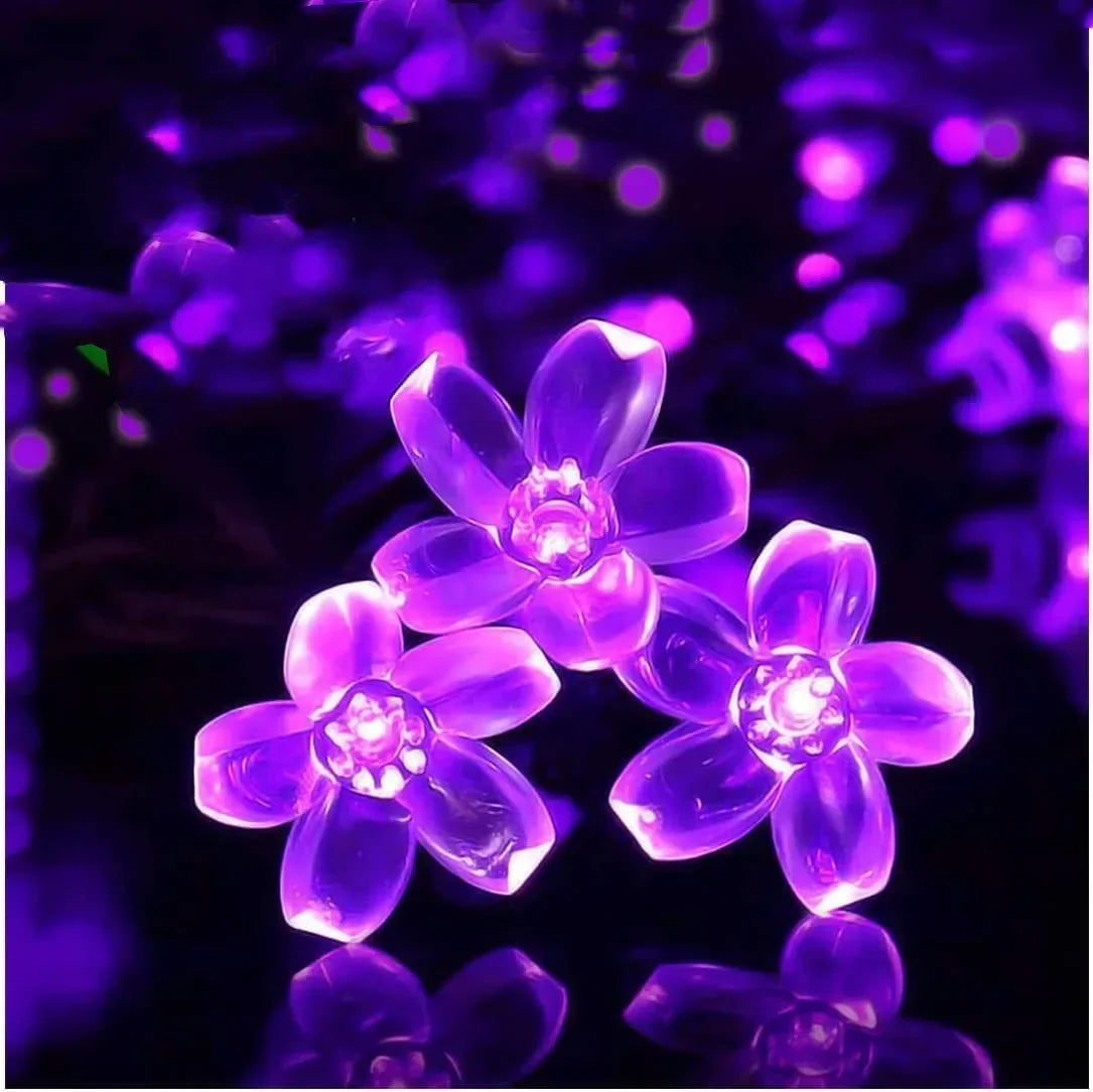 Solar Cherry Blossom Light Set