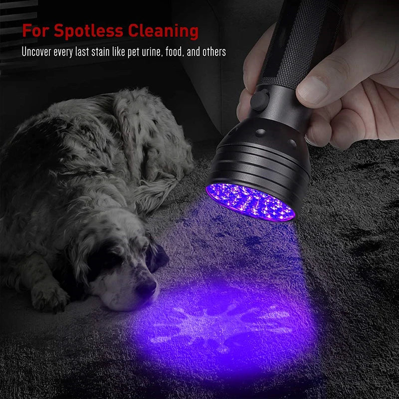 UV Black Light Urine/Bed Bug Detector