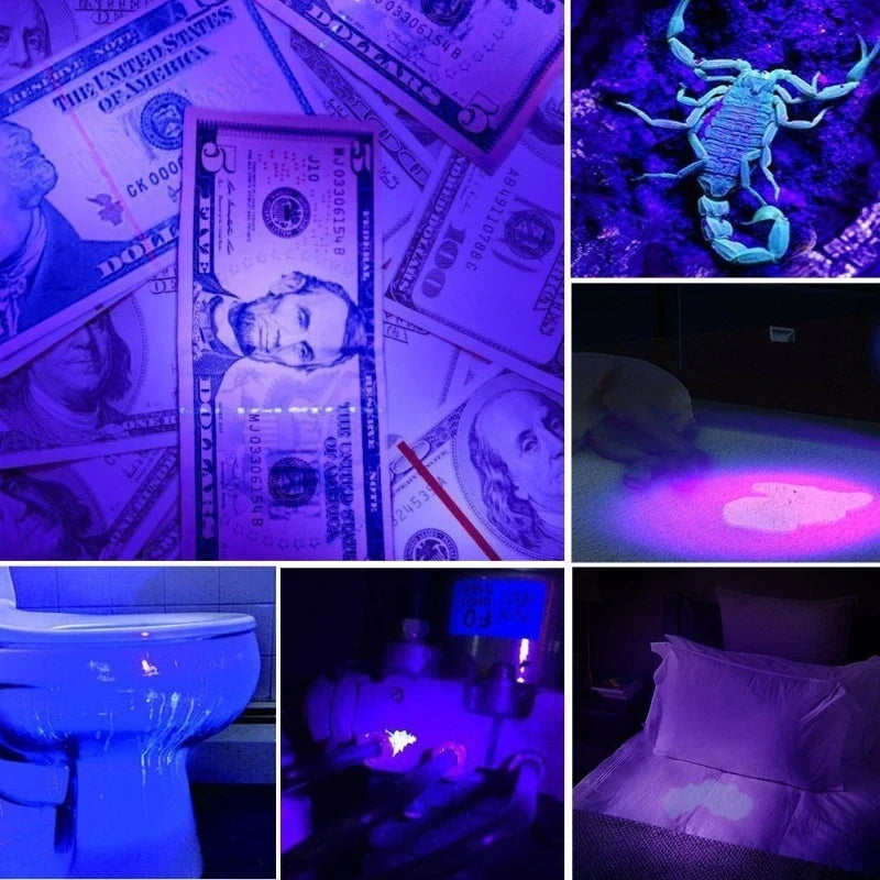 UV Black Light Urine/Bed Bug Detector