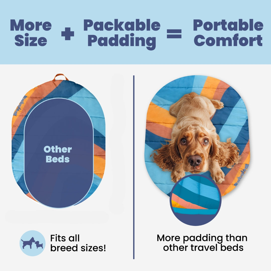 Travel/Camping Dog Bed
