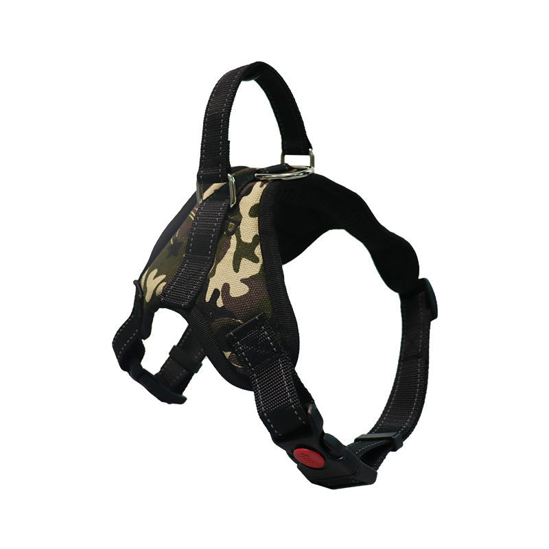 Medium/Large Dog Dog Collar