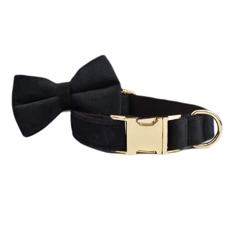 Black Velvet Harness