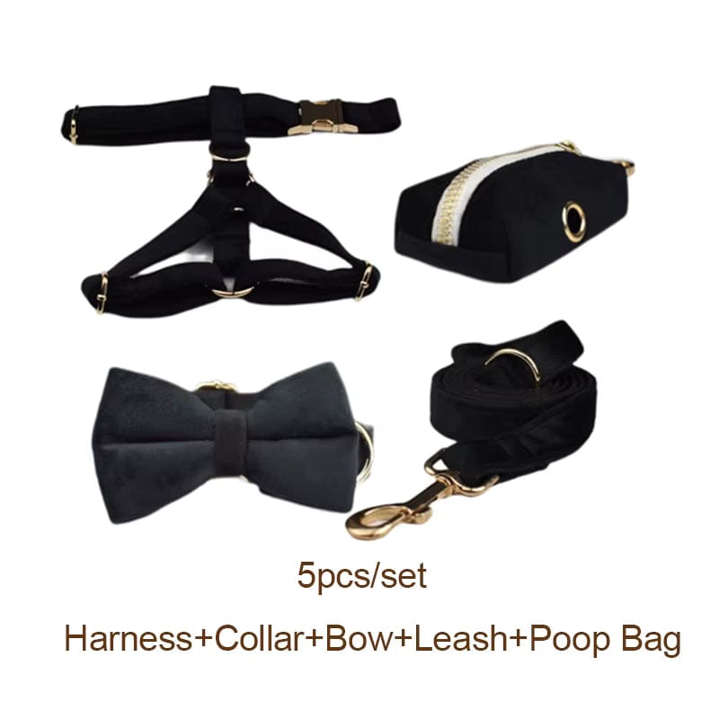 Black Velvet Harness