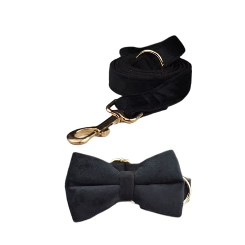 Black Velvet Harness