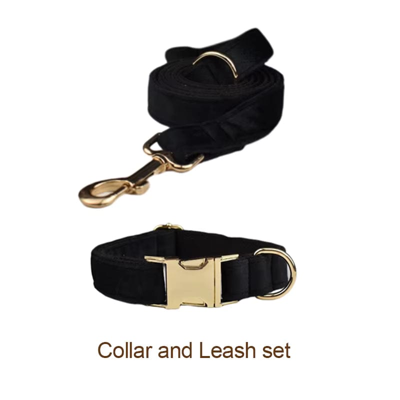 Black Velvet Harness