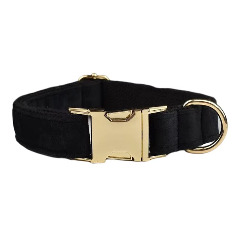 Black Velvet Harness