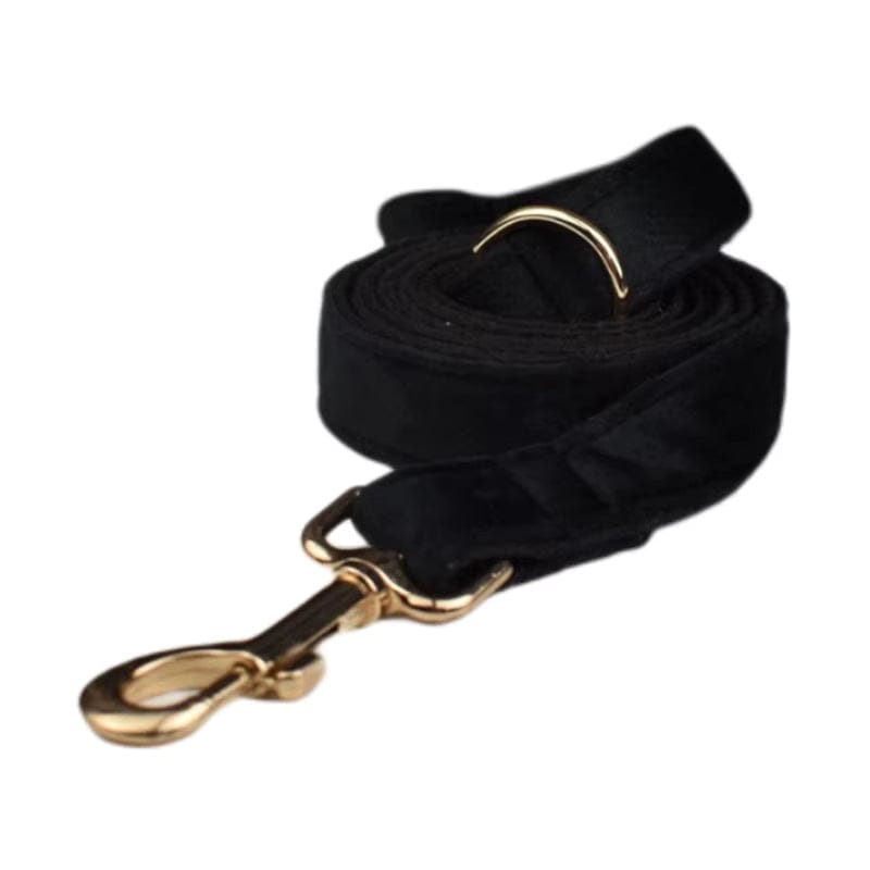 Black Velvet Harness