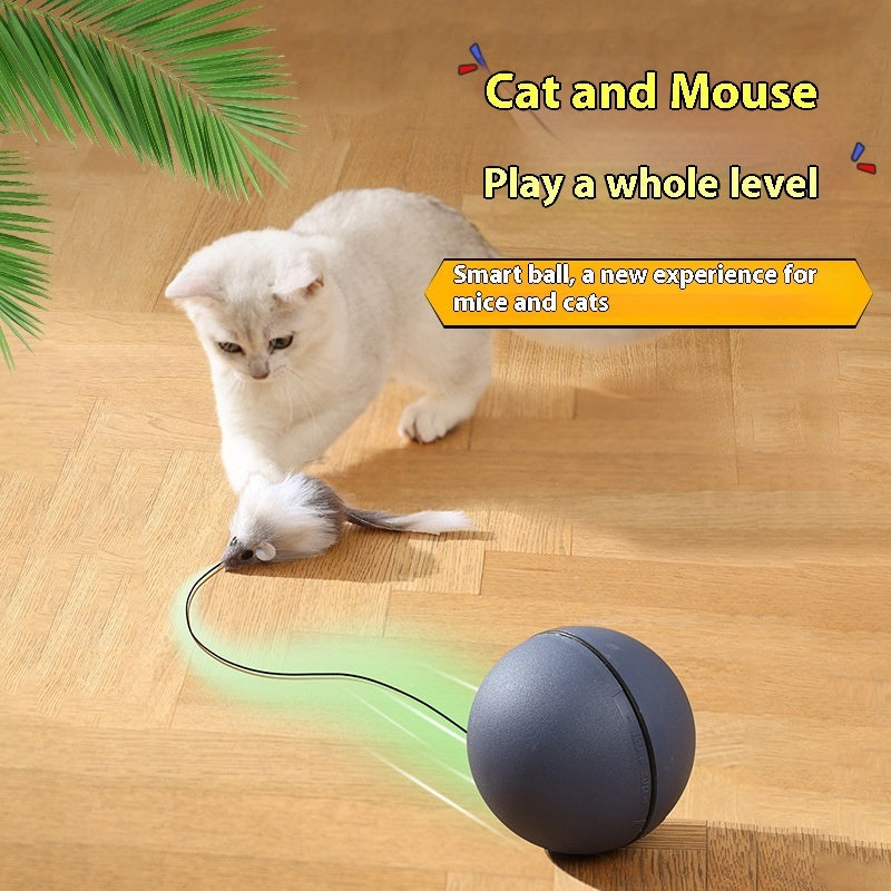 Moving Teaser Ball For Pets