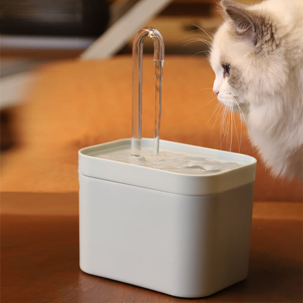 Water Fountain USB Electric Bowl