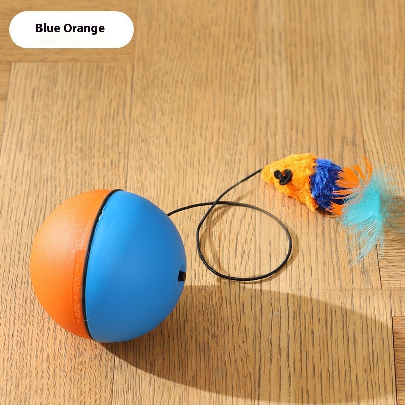 Moving Teaser Ball For Pets