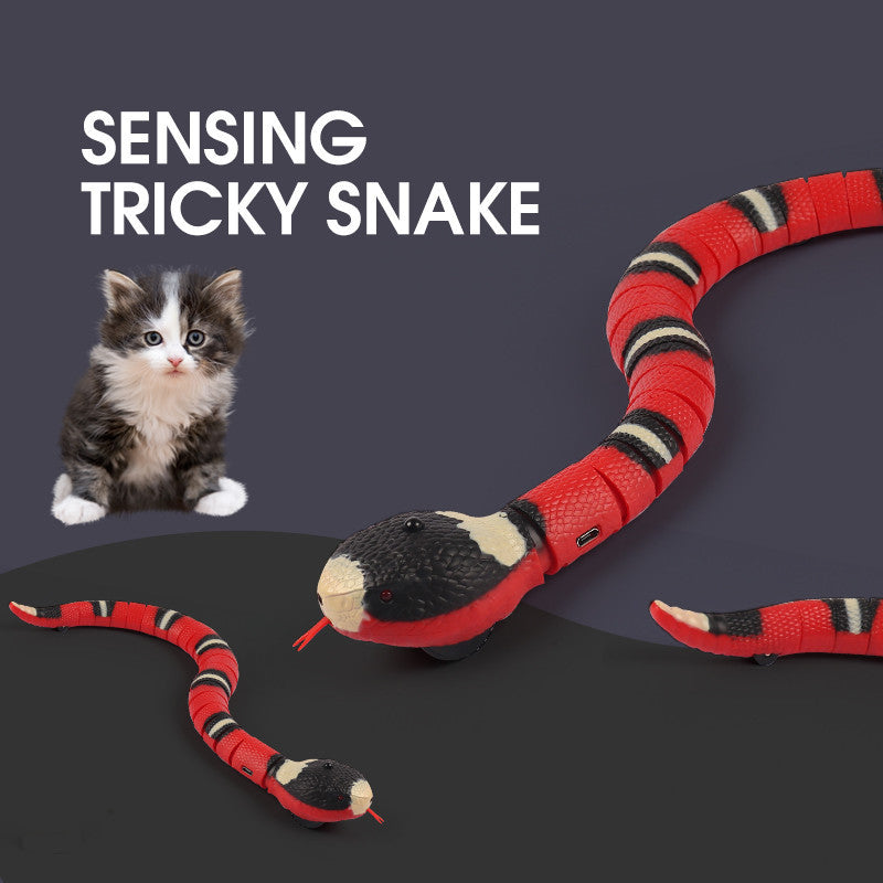 Rechargeable Motion Cat Toy