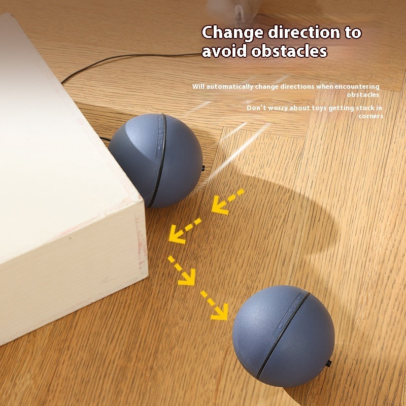 Moving Teaser Ball For Pets