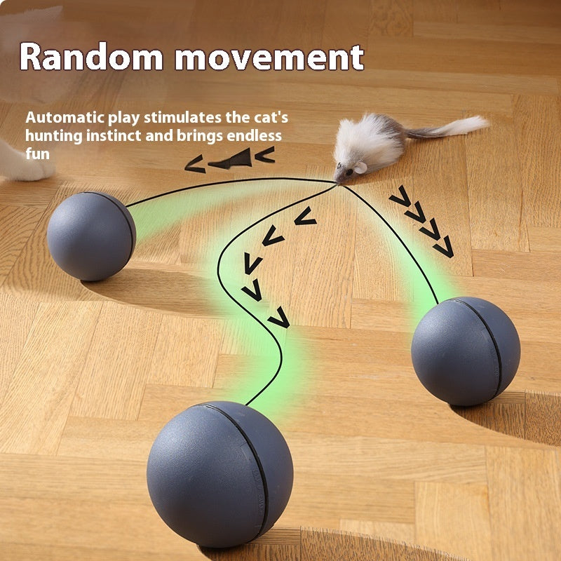 Moving Teaser Ball For Pets