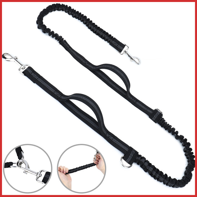 Dog Training Leash + Waist Bag