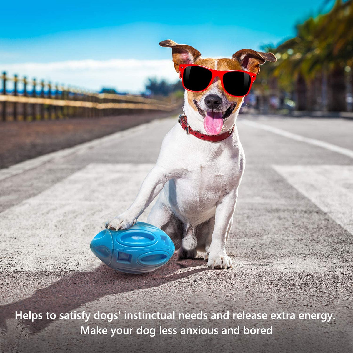 Rubber Rugby Sounding Dog Ball