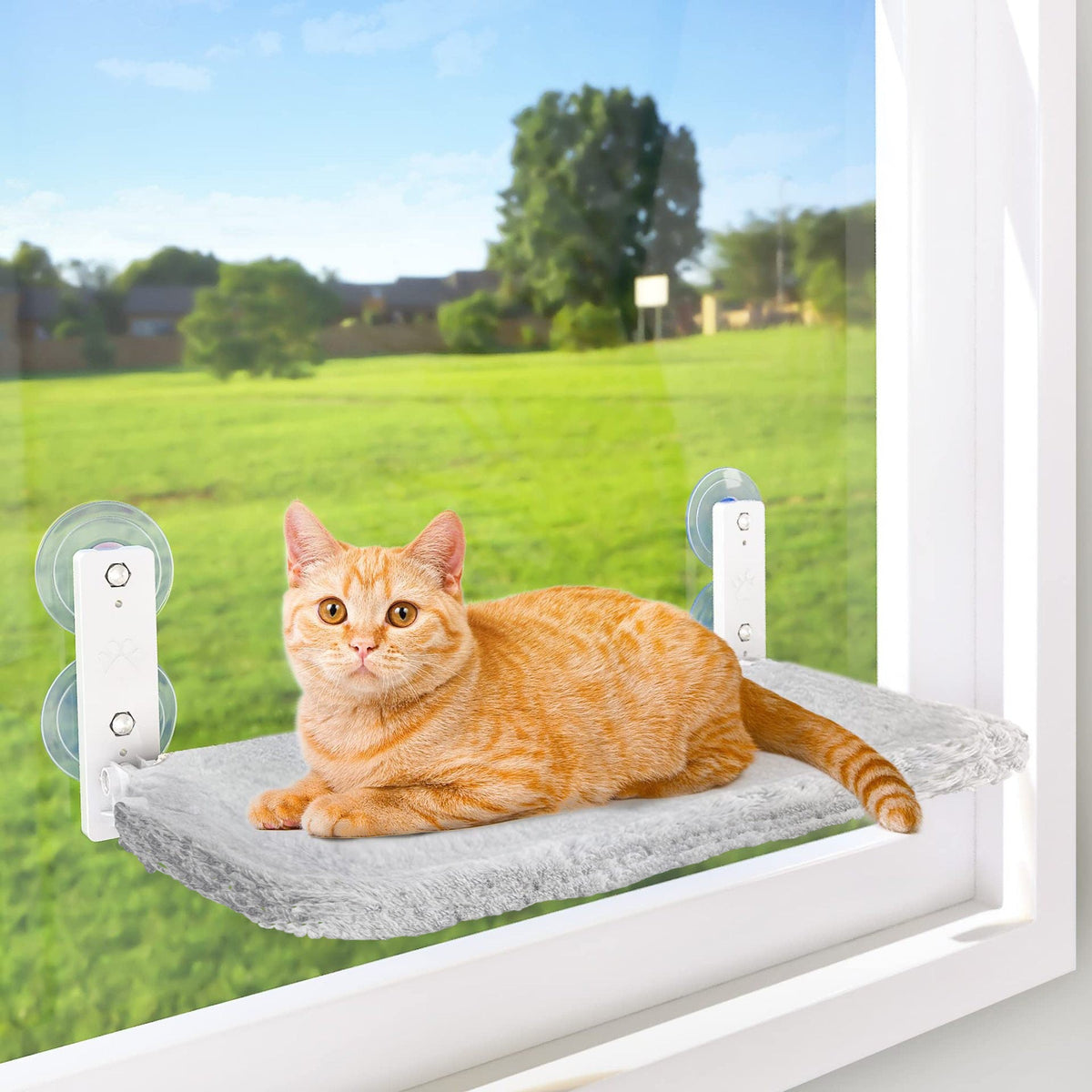 Folding Cat Hammock