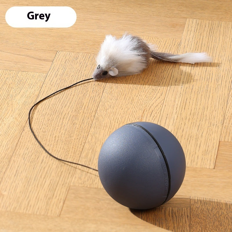 Moving Teaser Ball For Pets