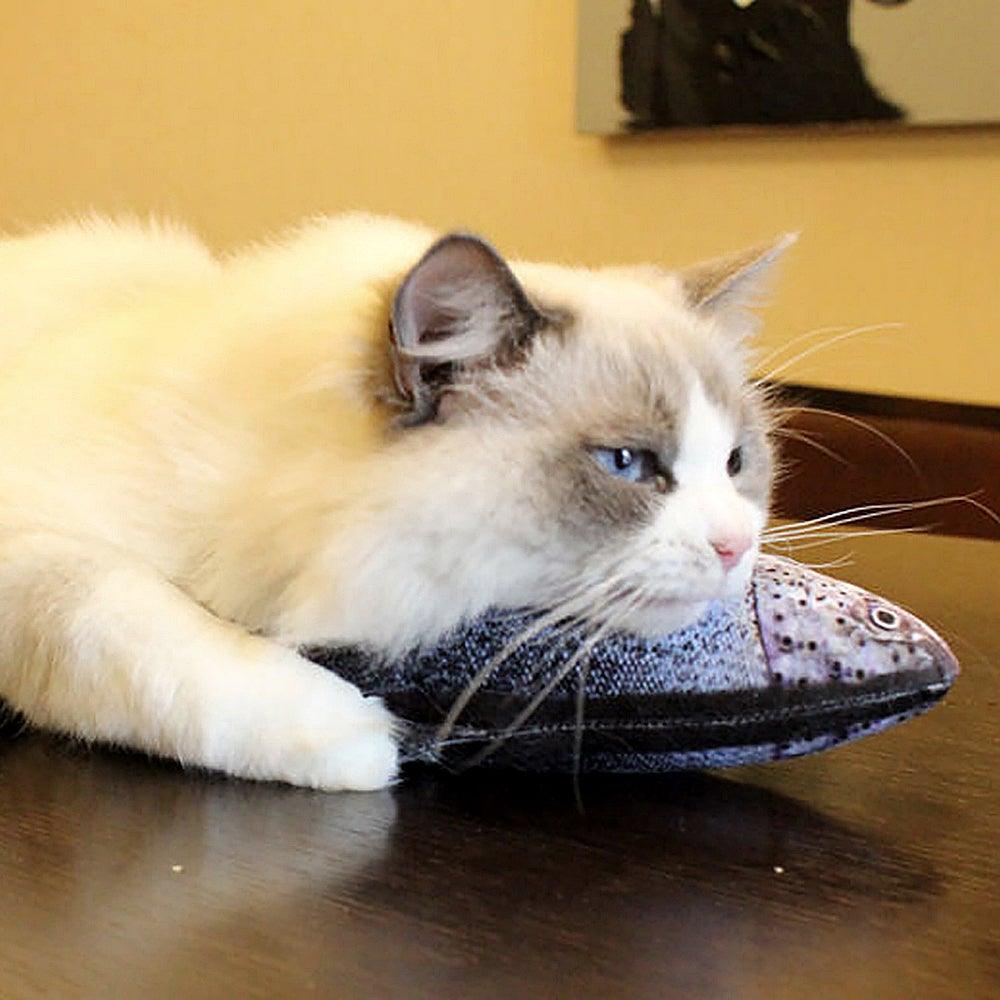USB Rechargeable Cat Toy