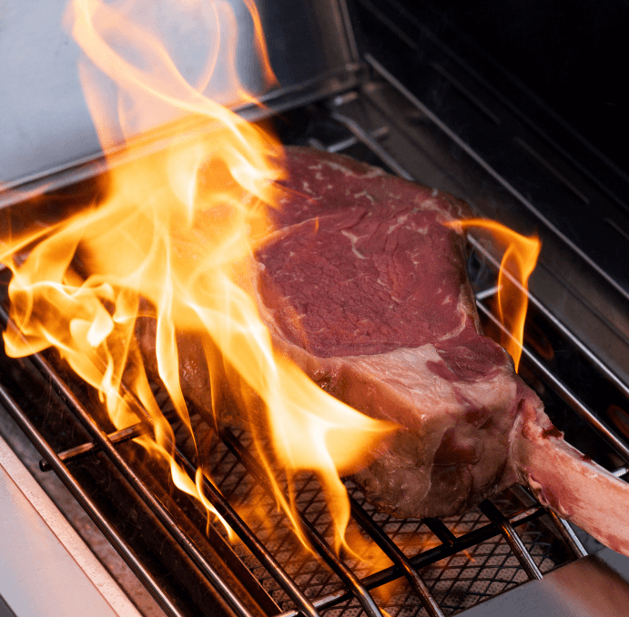 Smart Stainless Gas Grill