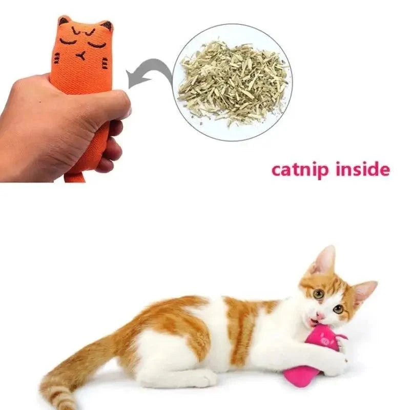 Catnip Cat Toys