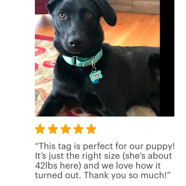 Customized Dog Tags