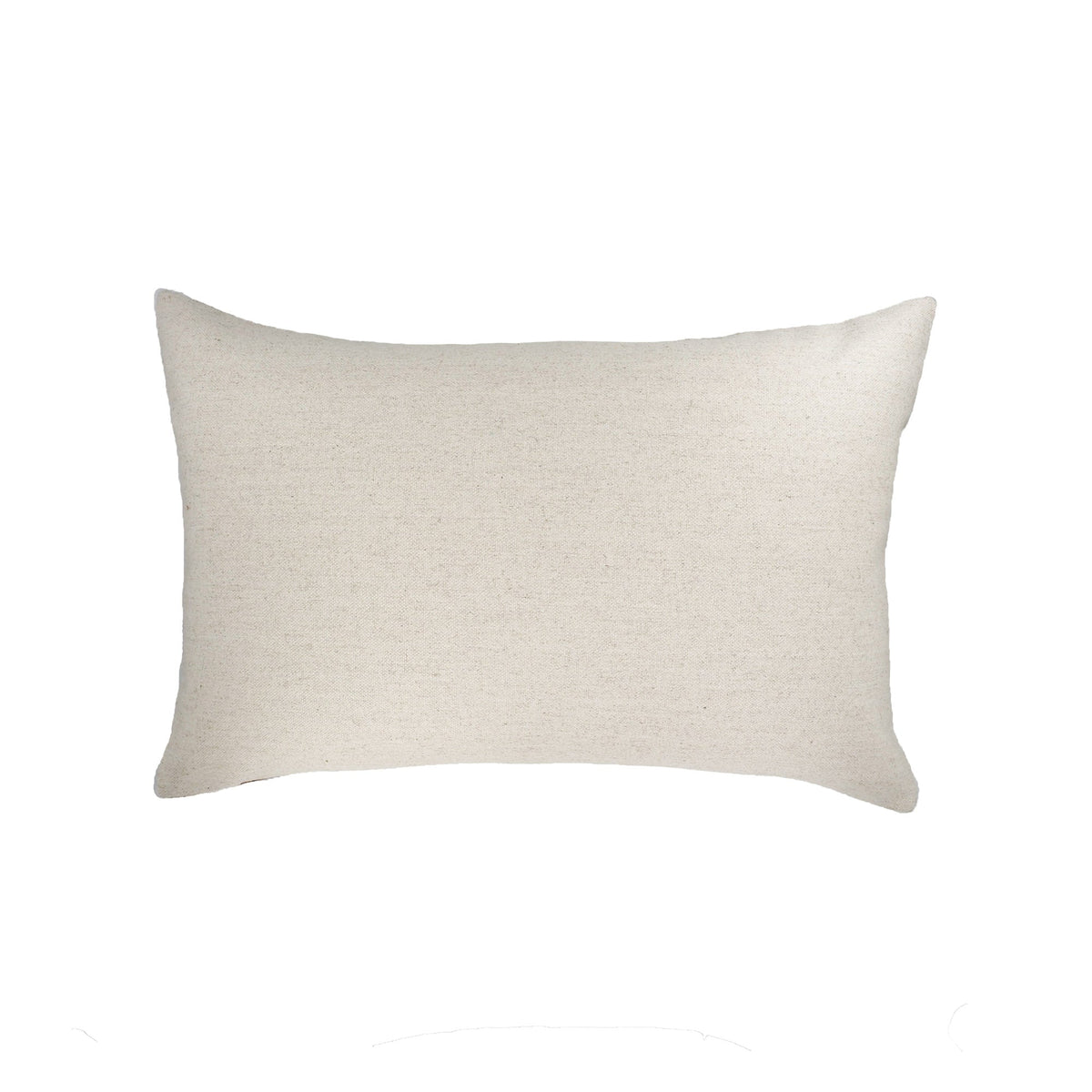 Silk Velvet Throw Pillow Cover, 16 x 24