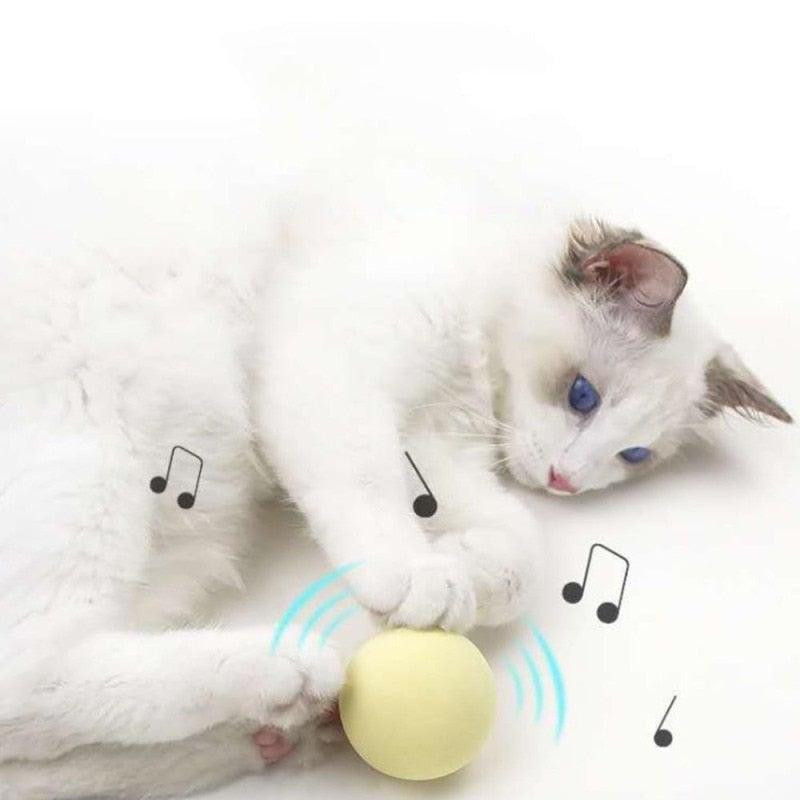 Interactive Chirping Catnip Balls