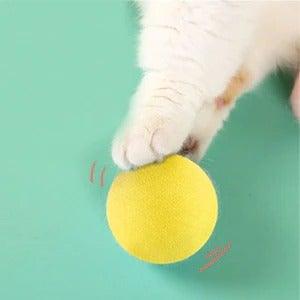Interactive Chirping Catnip Balls