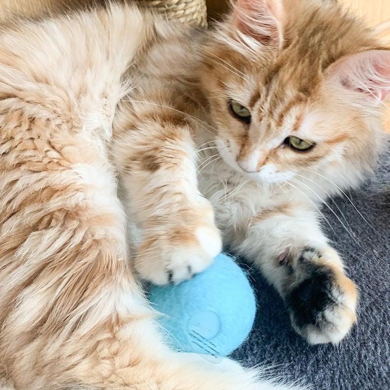 Interactive Chirping Catnip Balls