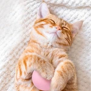 Interactive Chirping Catnip Balls