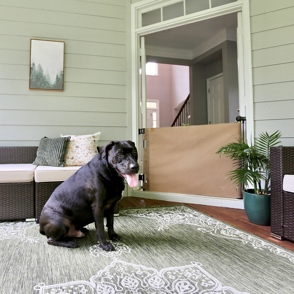 Waterproof Pet Safety Gate